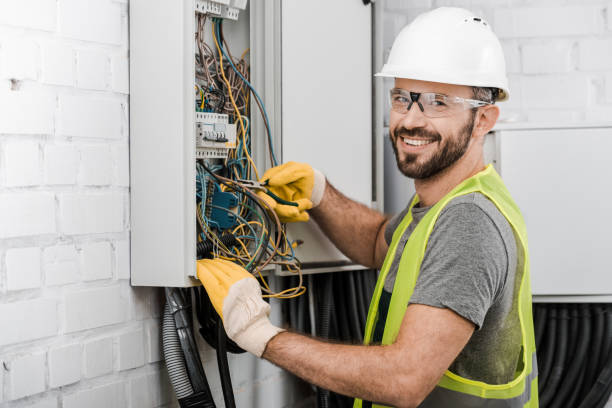 Best Electric Panel Repair  in Holtville, AL