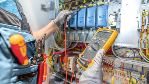 Best Affordable Electrician  in Holtville, AL