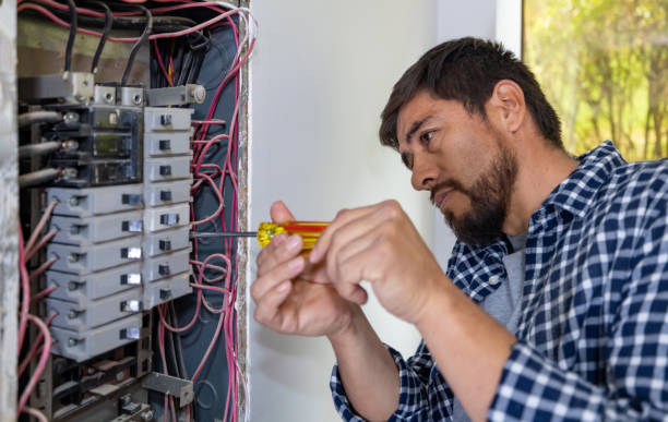 Best Electrical Repair Services  in Holtville, AL